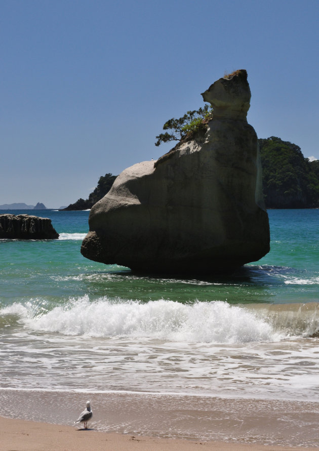 Cathedral Cove