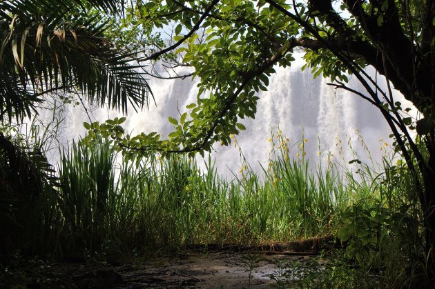 Victoria Falls vanuit de Bush!