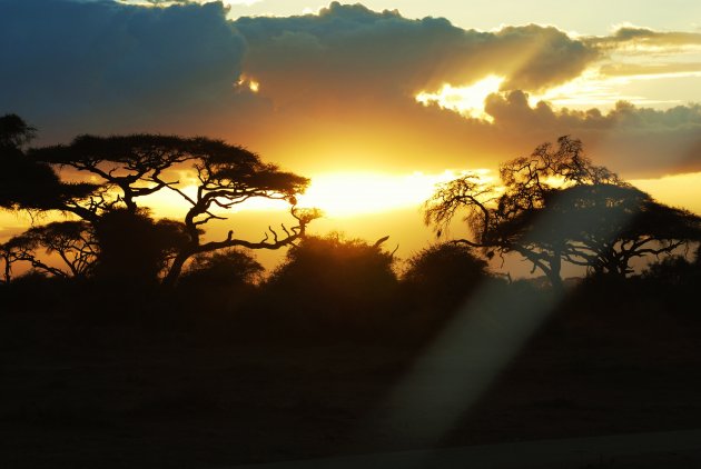 Sunset Amboseli.