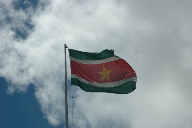 De vlag