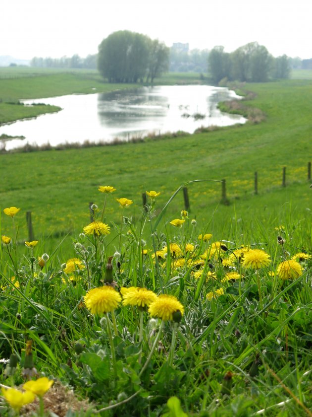 Idylle achter de dijk