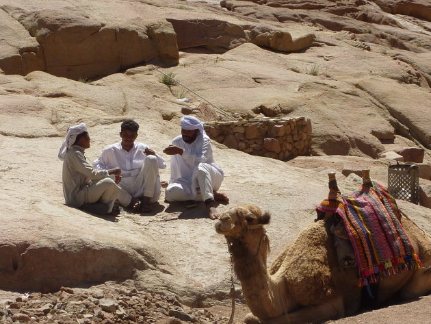 Bedouinen on Mount Sinai