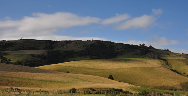 The Catlins