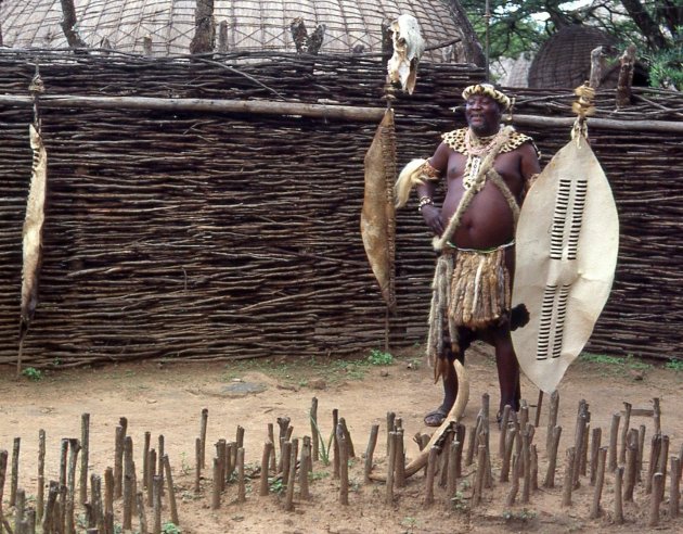 Chief in Shakaland