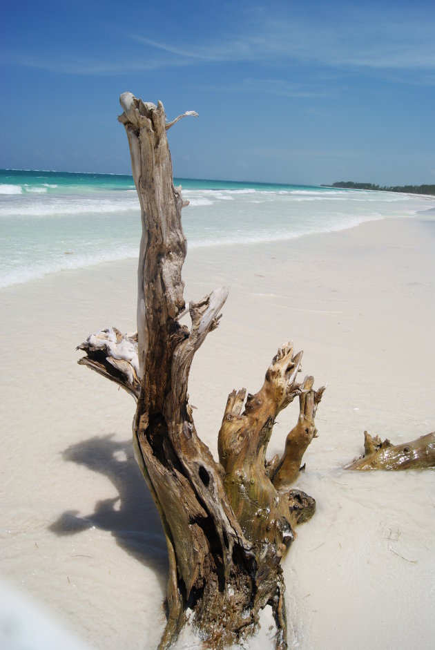 Alleen op het strand