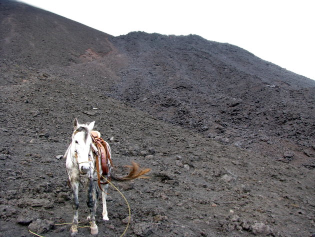 storm op lava