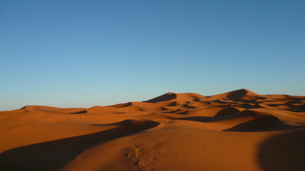 Sahara