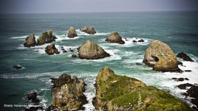 Otago Peninsula