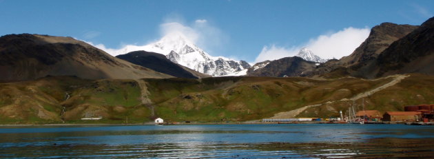 Grytviken