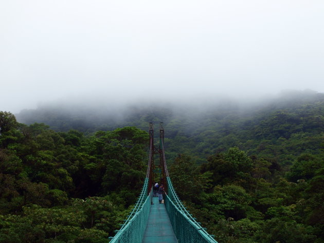 hanging bridge