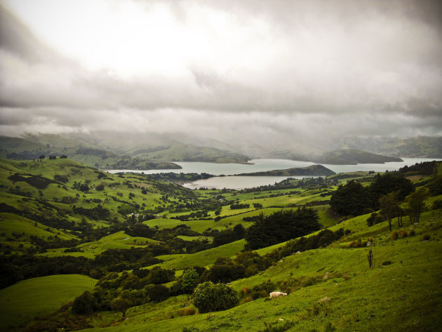 Onderweg naar Akaroa