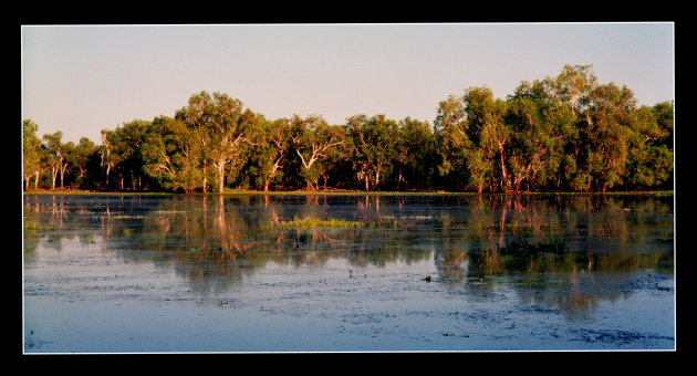 platte honden territory