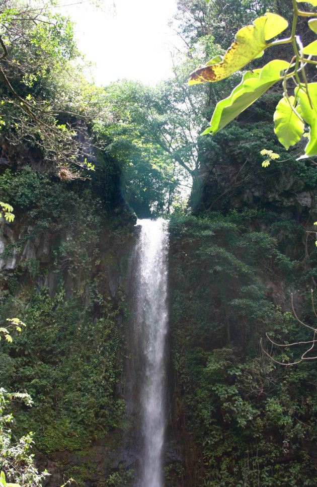 Waterval in Monteverde