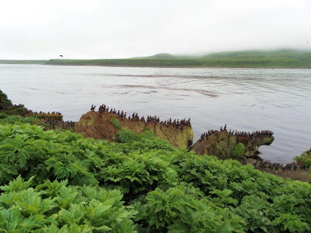 Blik op Matua eiland