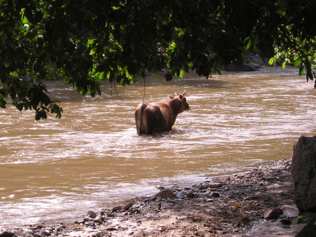 Pootje baden