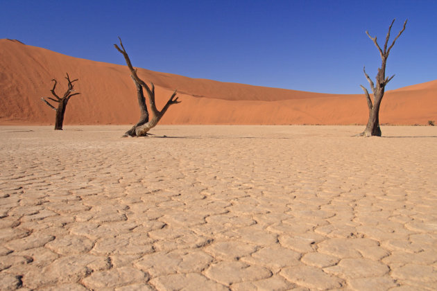 Death Vlei