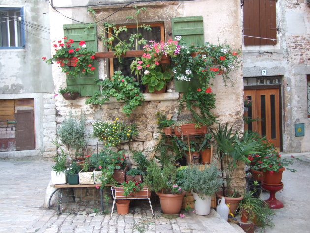 Straatbeeld Rovinj