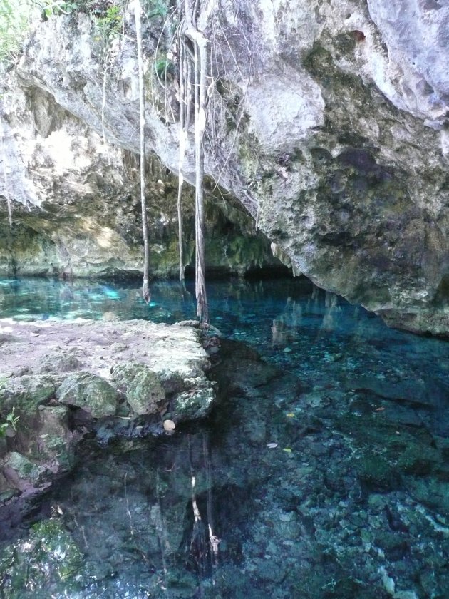 Grand cenote 2