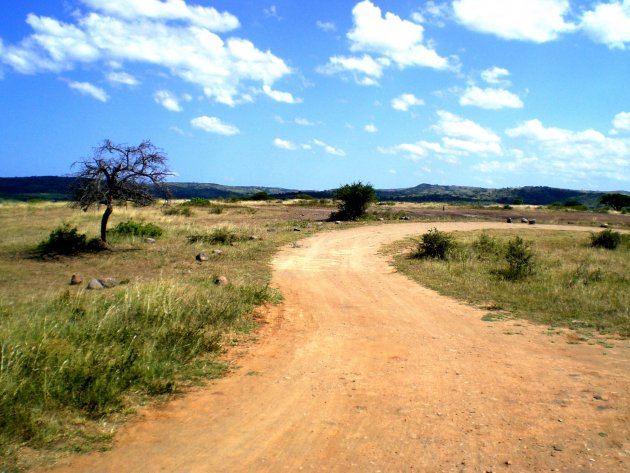 Hluhluwe natuur reservaat