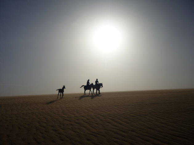 Thru the dessert on a horse with no name