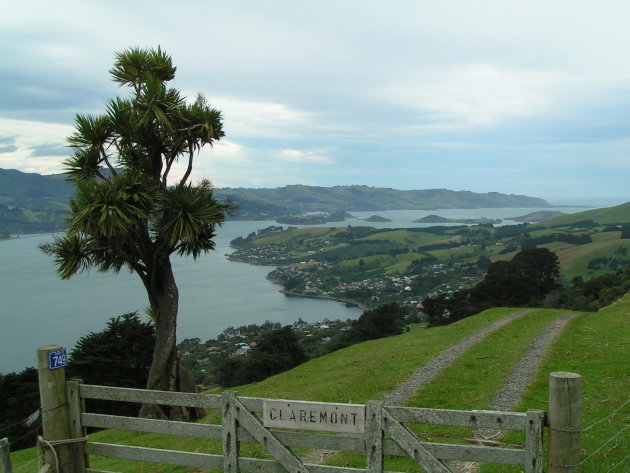 Otago