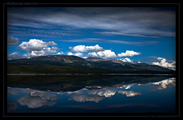 Natures Mirror