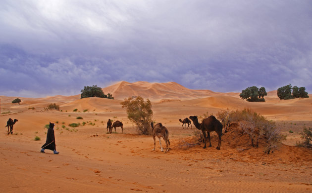 donkere lucht boven Erg Chebbi