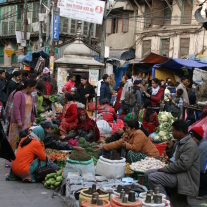 '269937' door Himalaya