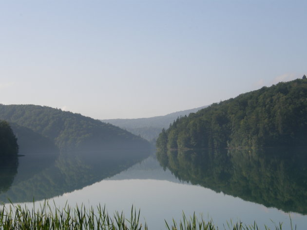 natuurfoto spiegelbeeld