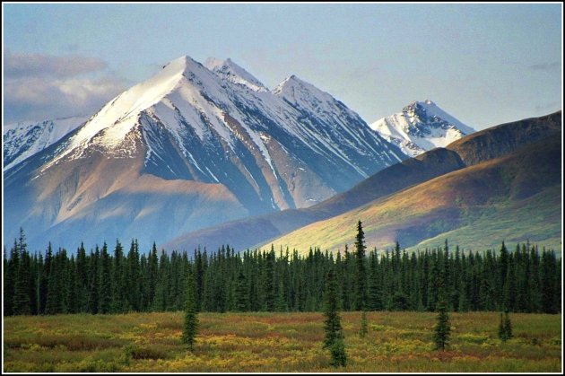 Denali Nat. Park