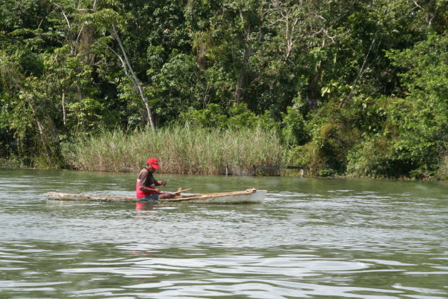 Visser op Rio Dulce