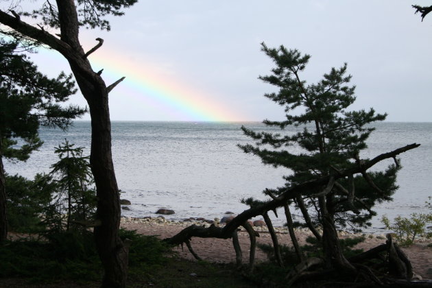 Regenboog gezien tijdens onze wandeling door de Trollskogen