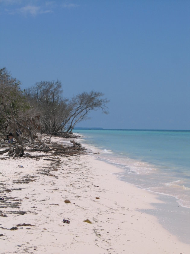 Verlaten strand 