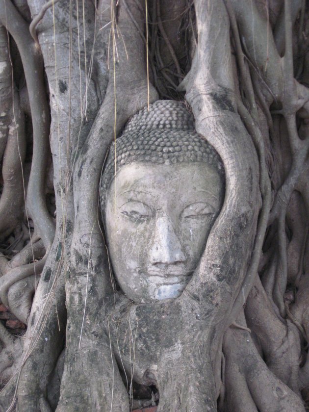 Ayutthaya