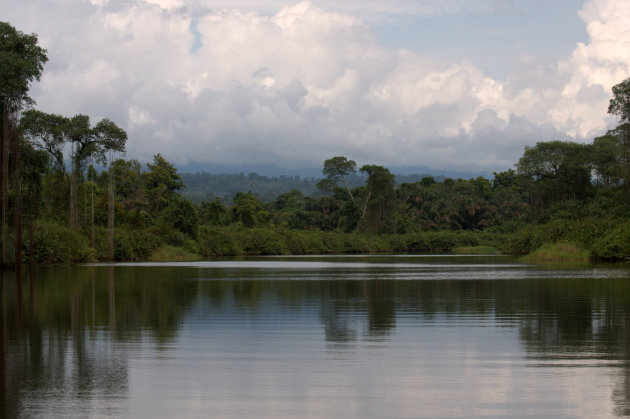 varen door de jungle