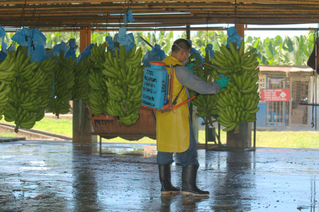 Bananen ontsmetten