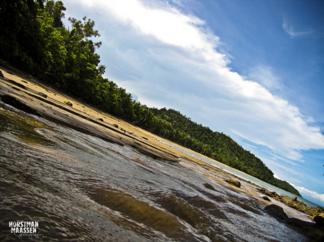 Daintree