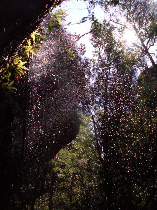 achterkant van een waterval(letje)