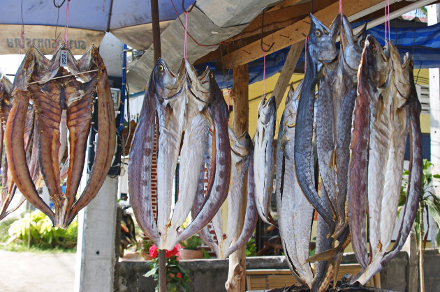 Dried Fish