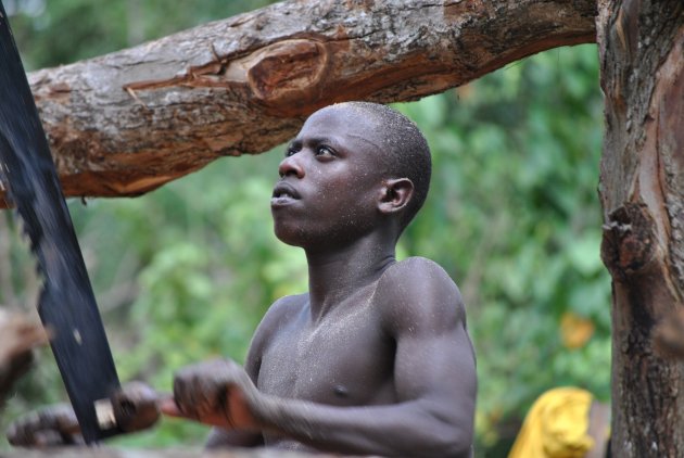 Zagende Oegandees in Kibale Forest