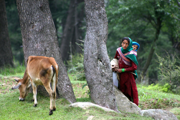 Vestoppertje in Patnitop