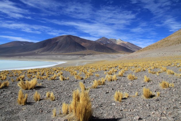 hoog in de andes