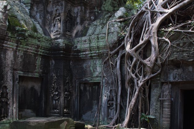 Ta Prohm