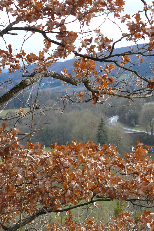 Hotton - Ardennen