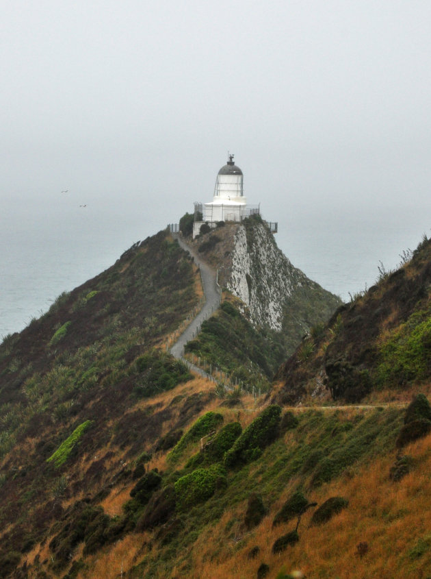 Nugget Point Lighthouse