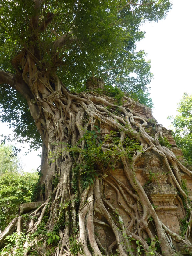 Sambor Prei Kuk - Prasat Tao 