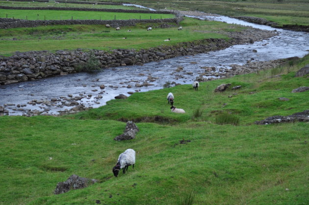 groen en water