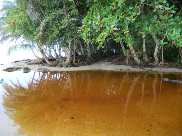 roestbruin water