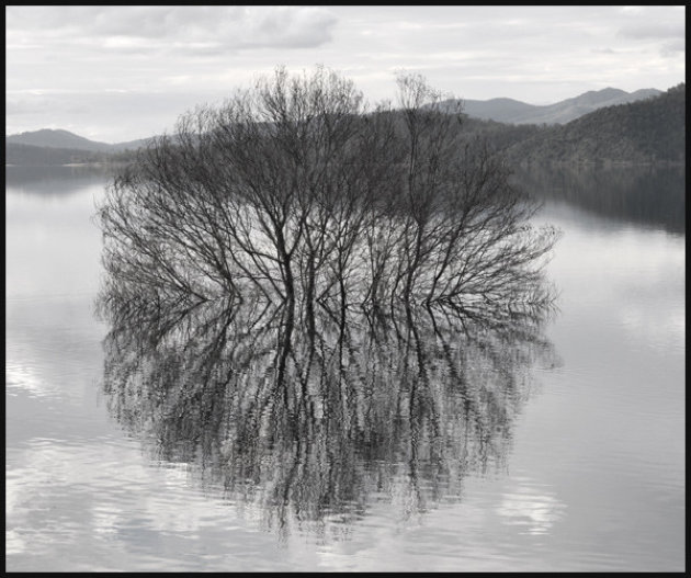 Weerspiegeling in het water