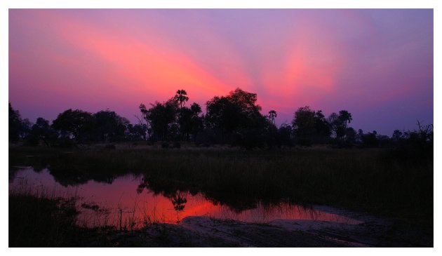 Paarse zonsondergang